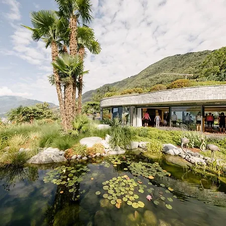 Chiva Sun Well-being Gaestesuite Brione sopra Minusio